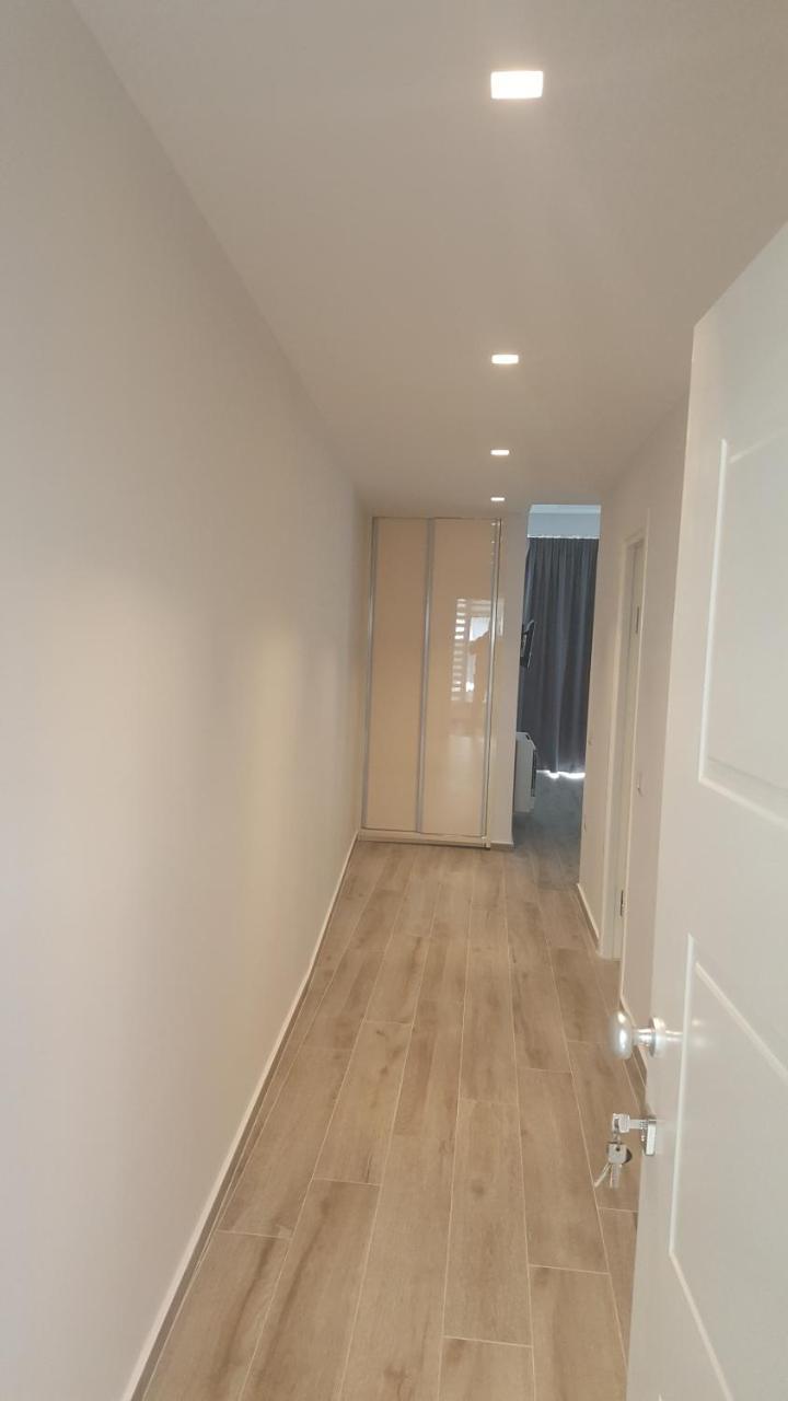 Delfin Apartamento